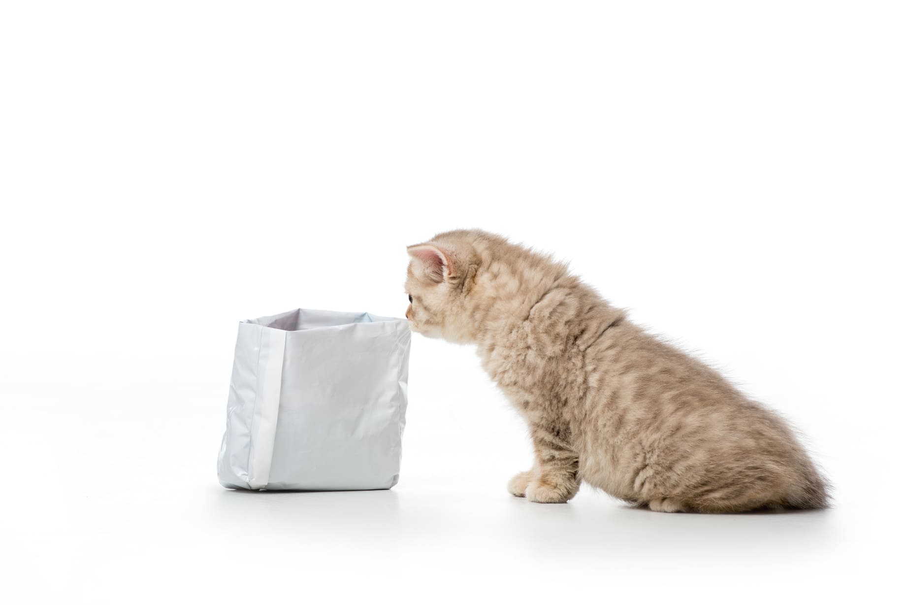 Litière anti-odeur naturelle pour chat Cat & Zen